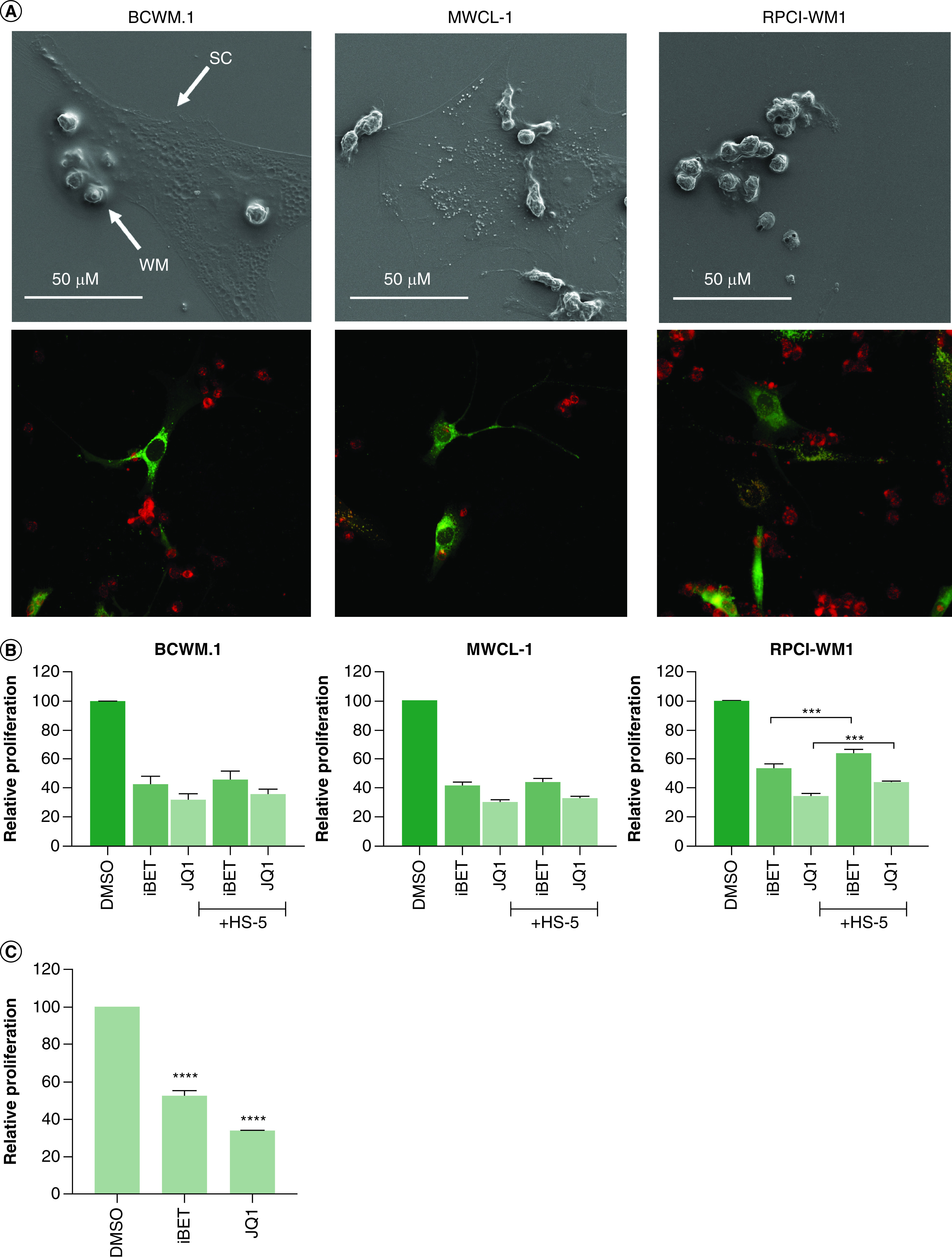 Figure 2. 