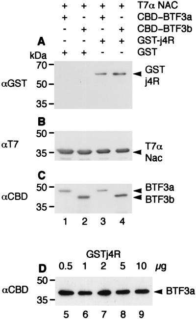 FIG. 8.