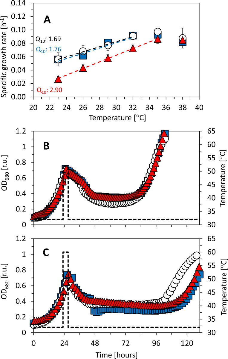 Fig 5