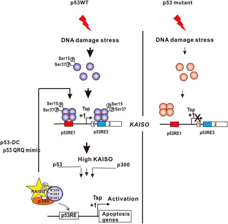 Figure 10.