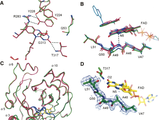 Figure 5.