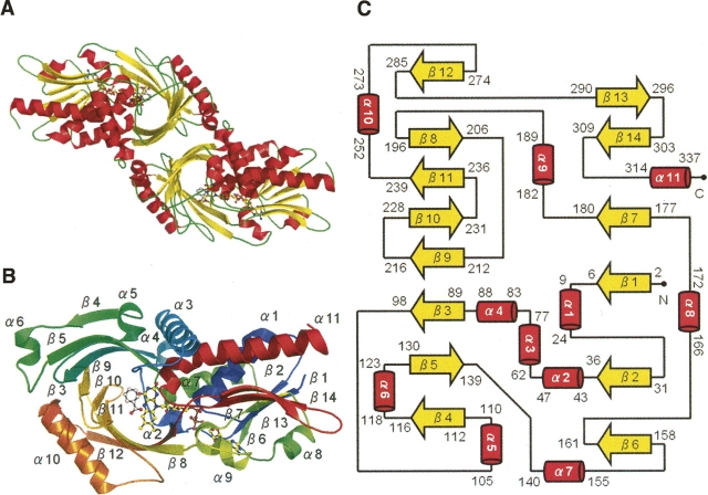 Figure 2.