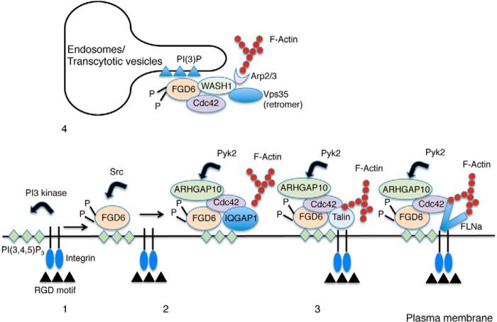 FIGURE 6.