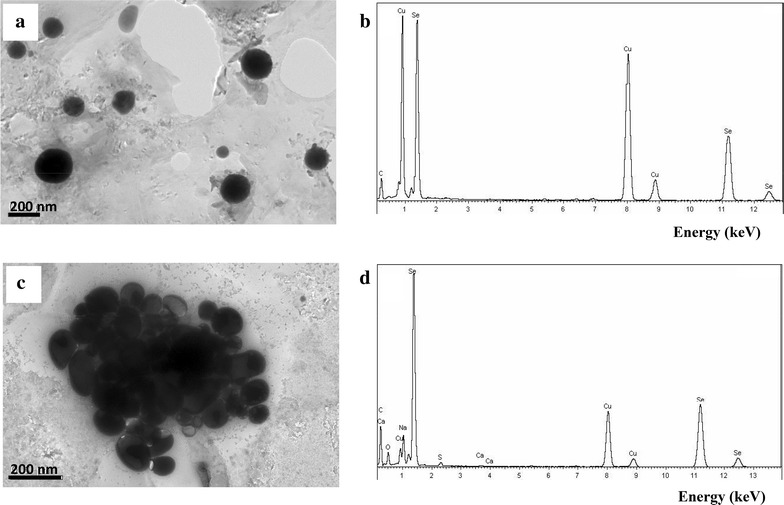 Fig. 6