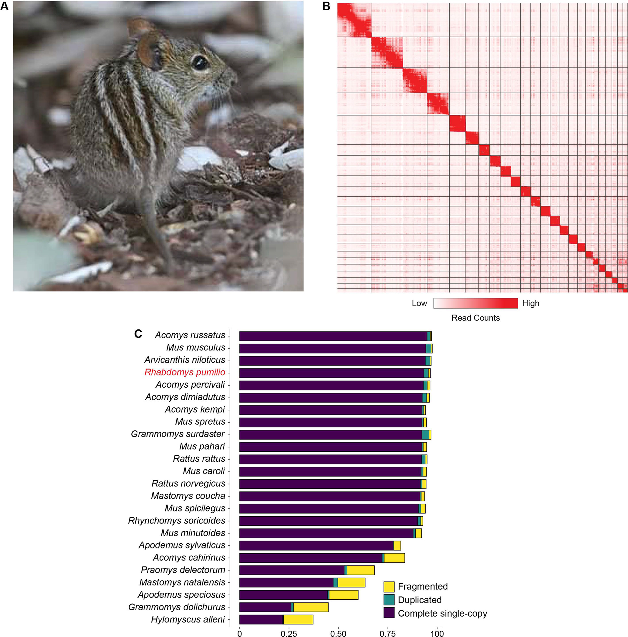 Figure 1.