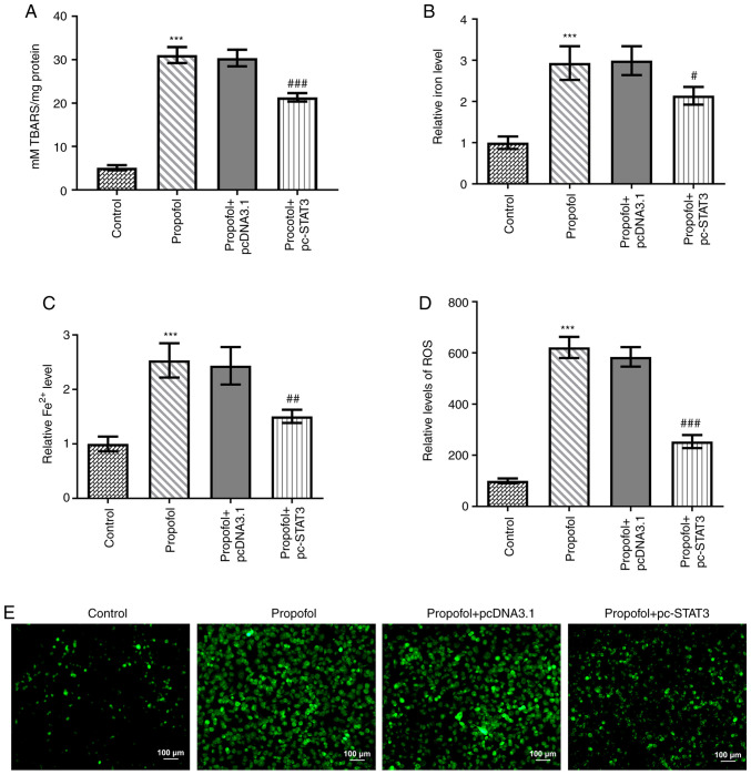 Figure 3.