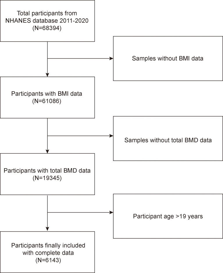 Figure 1