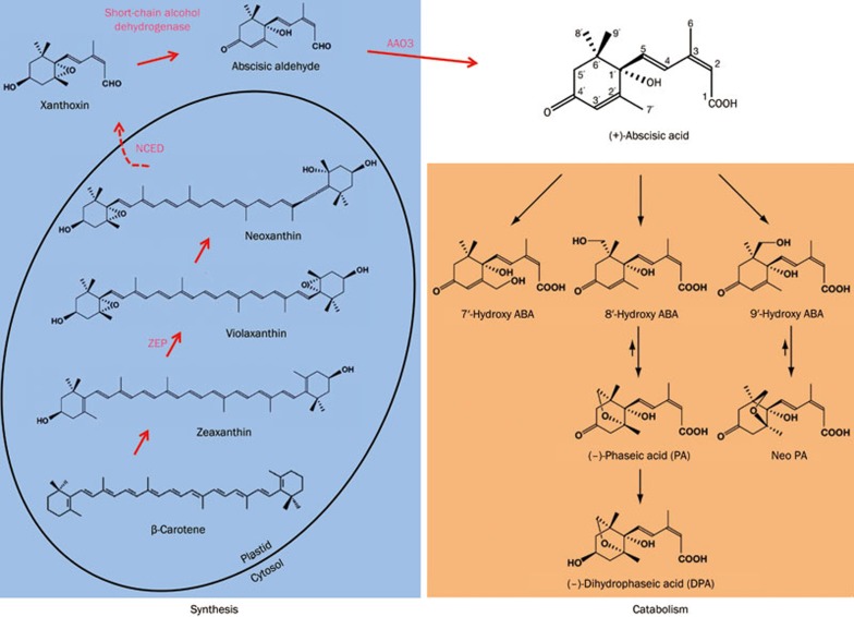 Figure 2