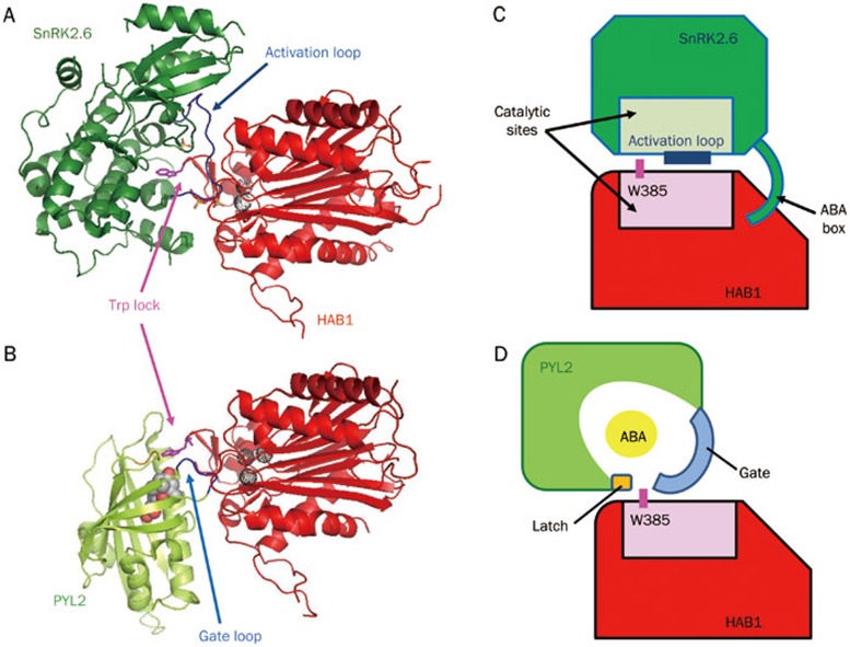 Figure 6