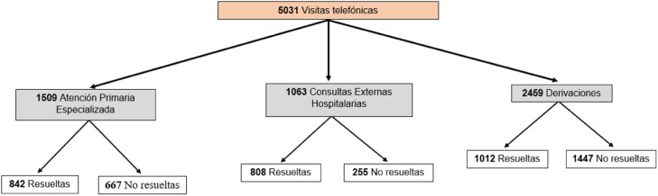 Figura 1