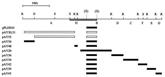 FIG. 1