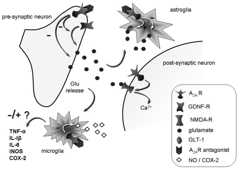 Fig. 2