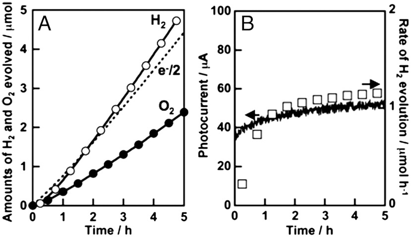 Fig. 8.