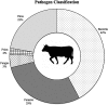 <b>FIG. 2.</b>