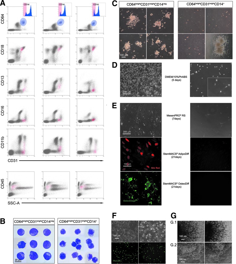 FIG. 4.