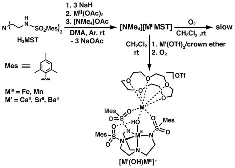 Scheme 3