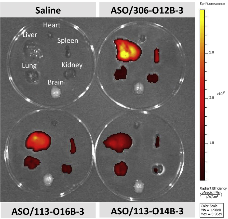 Figure 3