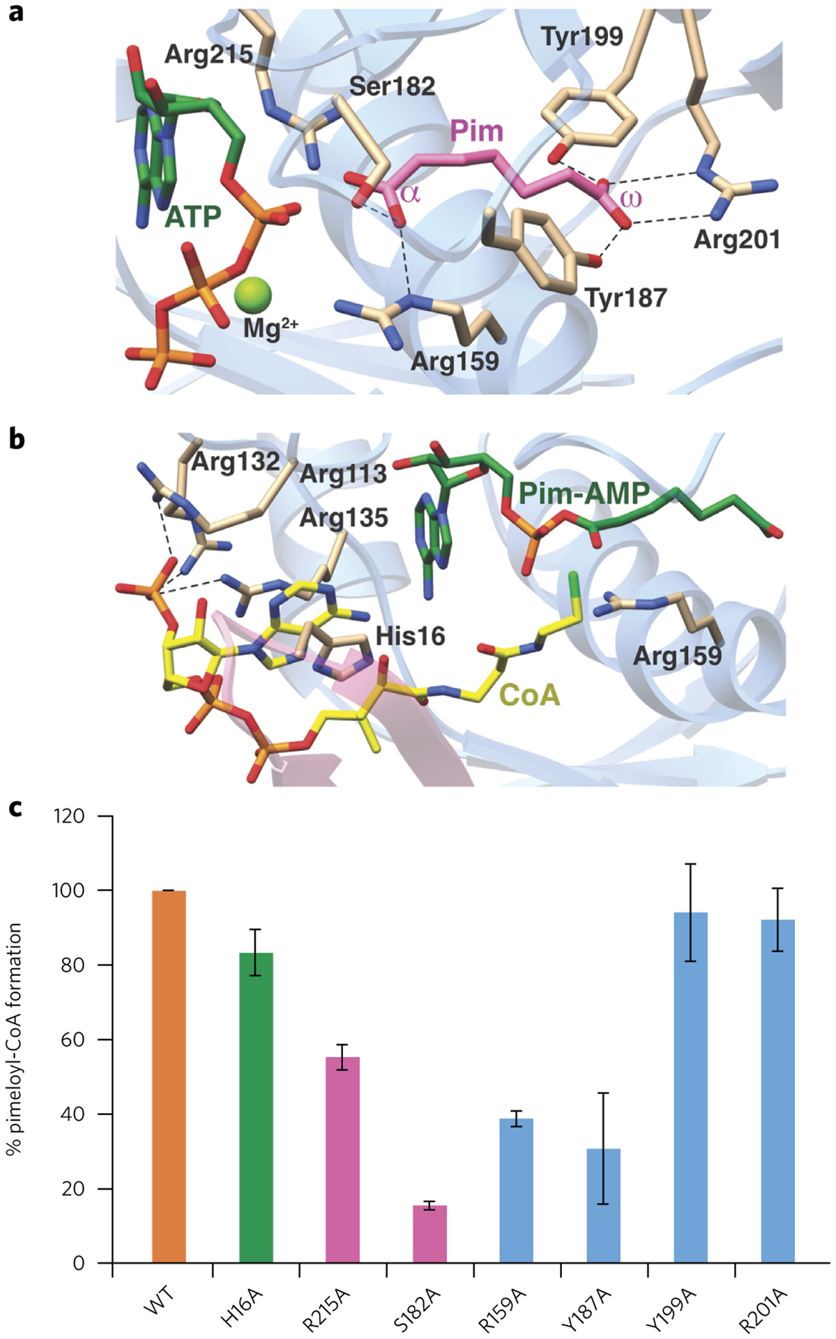 Figure 4 |