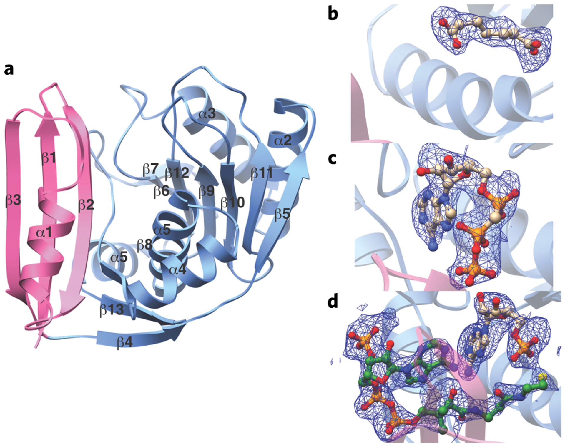 Figure 3 |