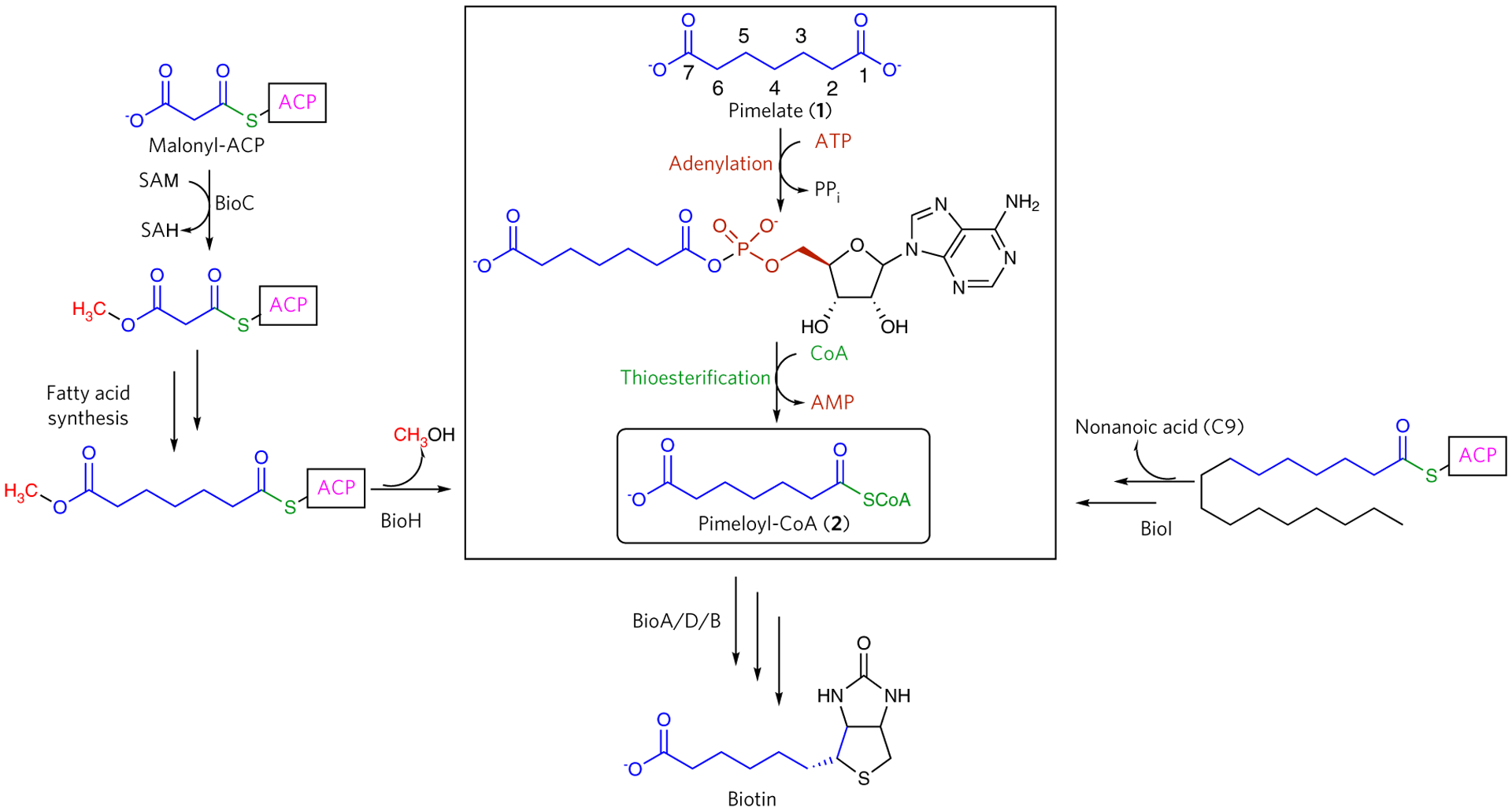 Figure 1 |