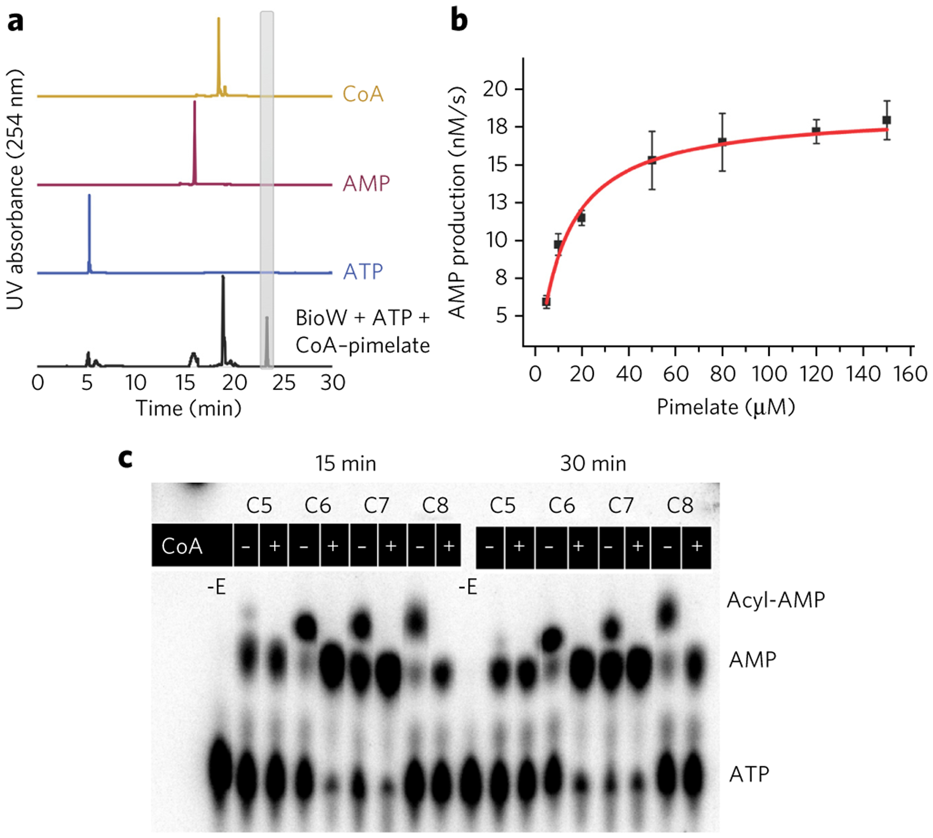 Figure 2 |