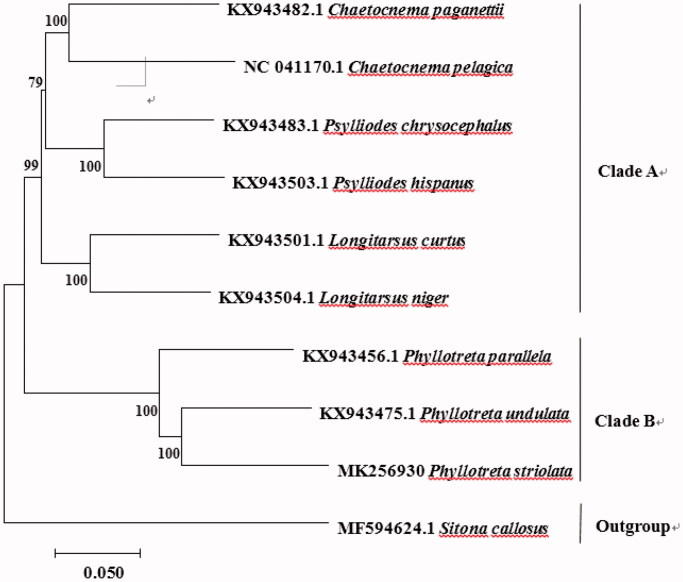 Figure 1.