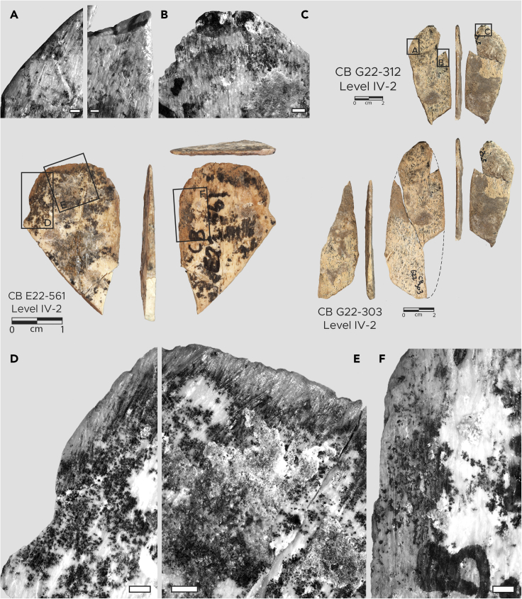 Figure 3