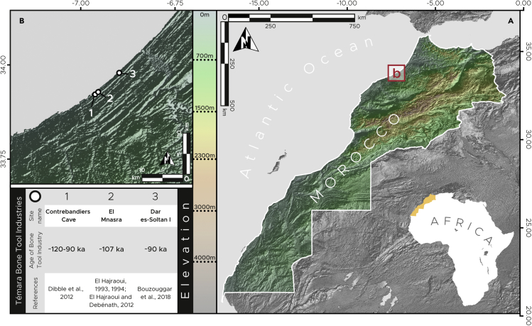 Figure 1