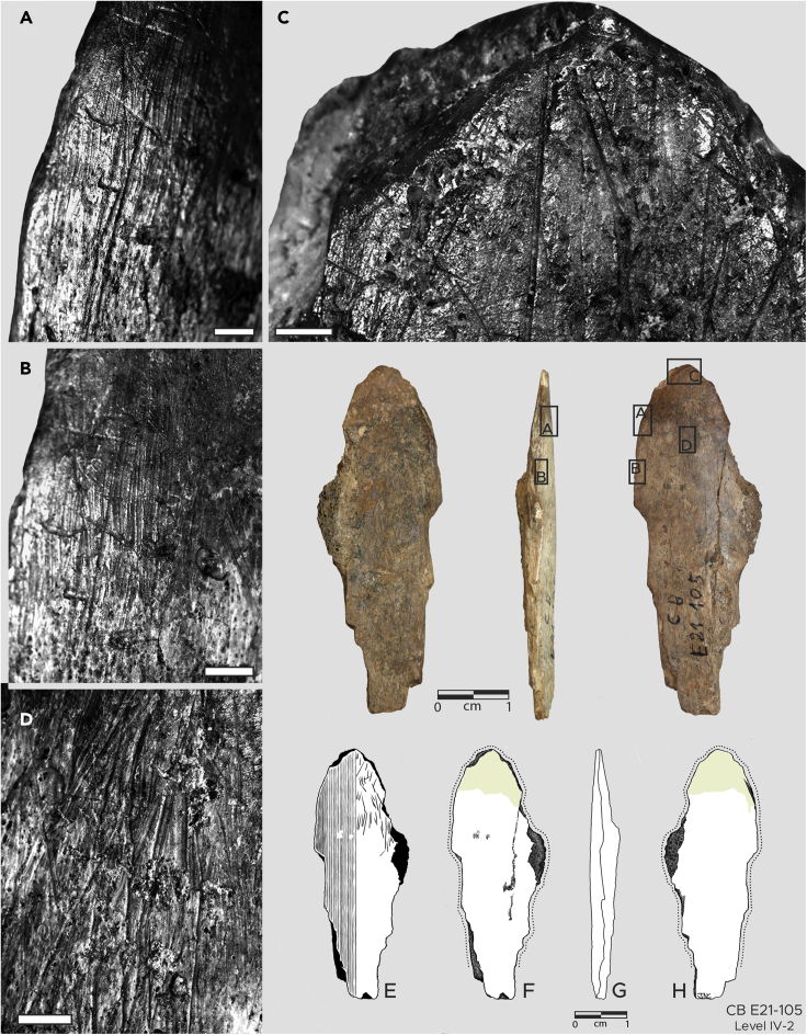 Figure 2