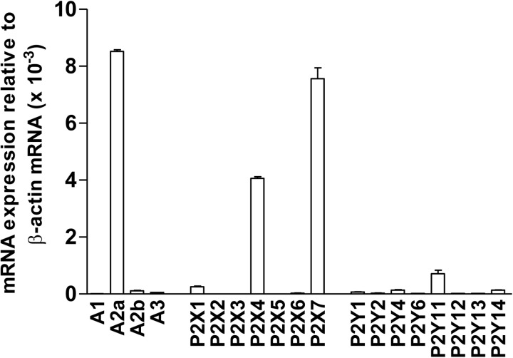 Figure 4.