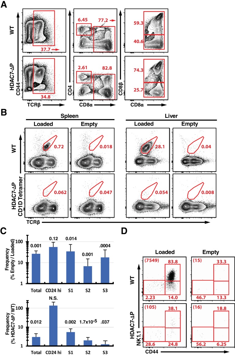 Figure 1—figure supplement 1.