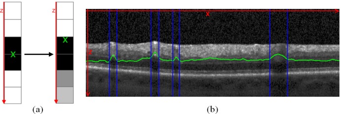 Fig. 6