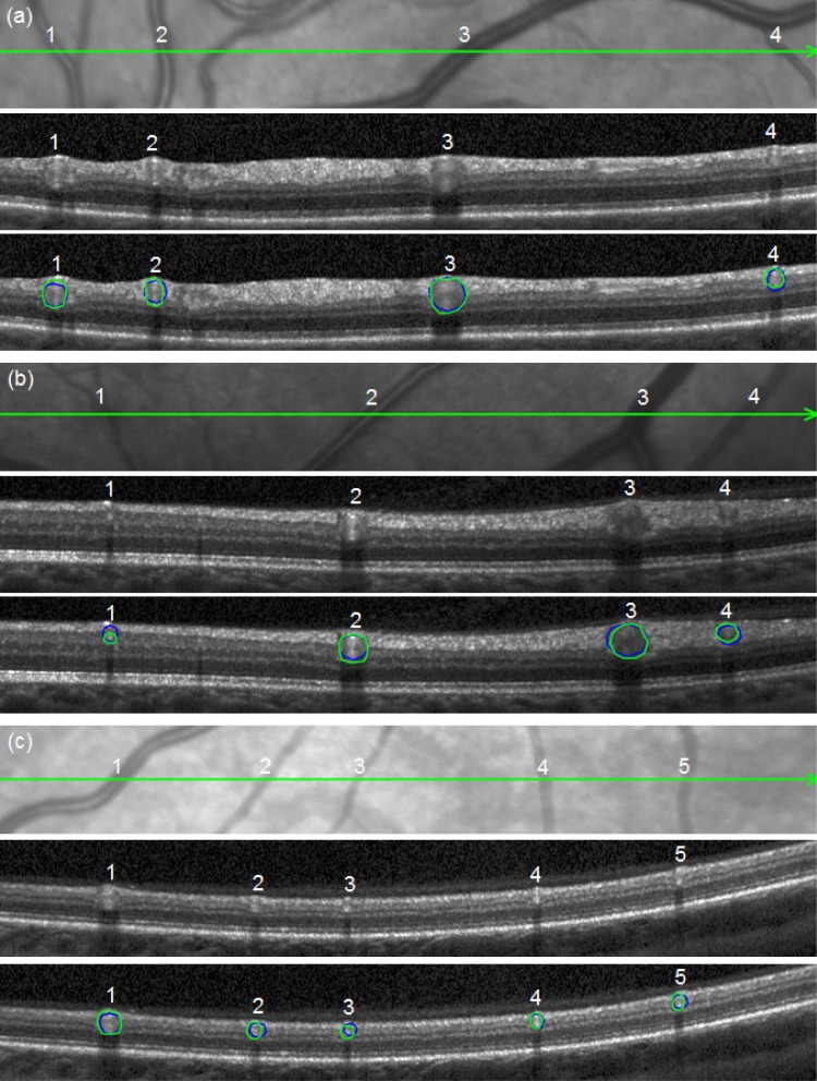 Fig. 7