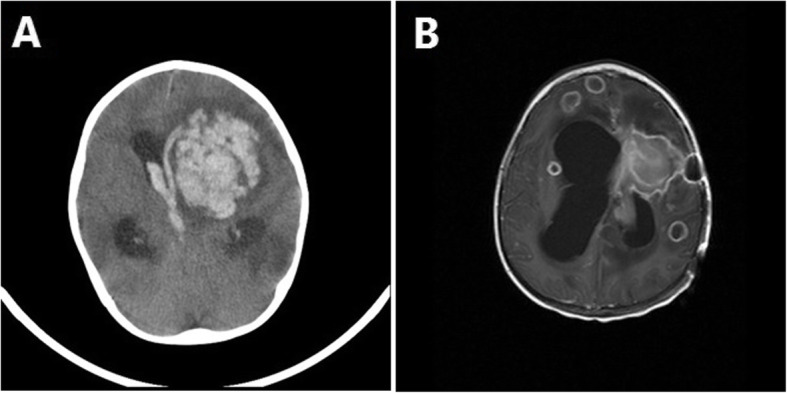 Fig. 5