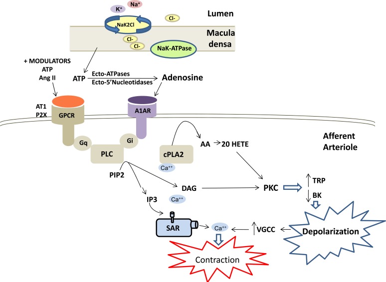 Fig.(3)