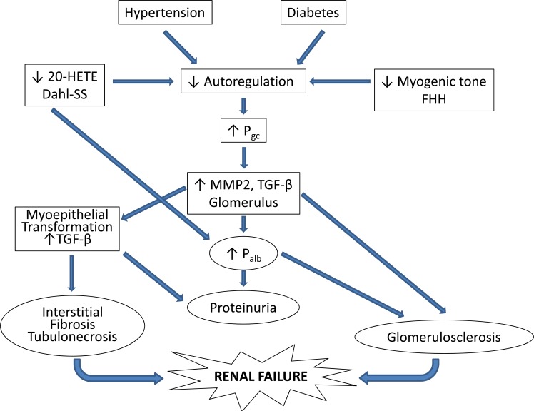 Fig.(4)