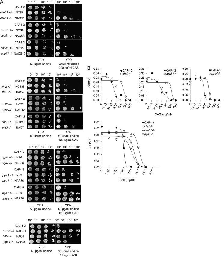 FIG 3