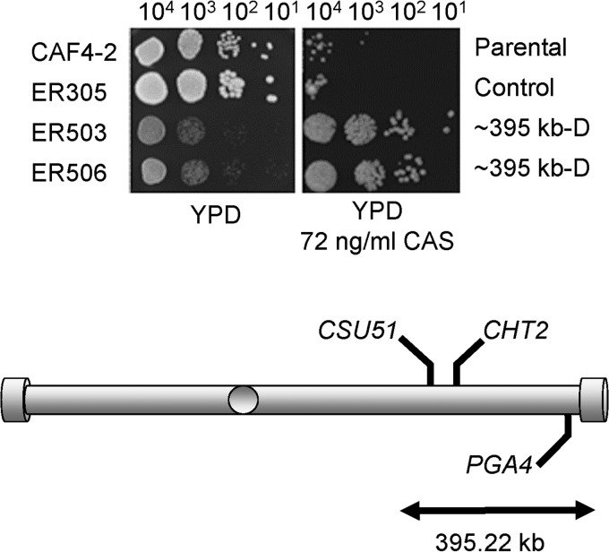 FIG 1