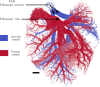 Fig 11