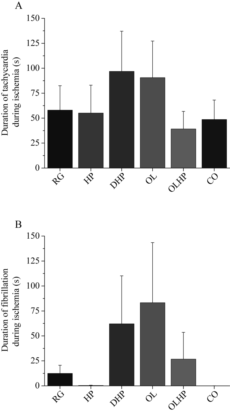 Figure 5)