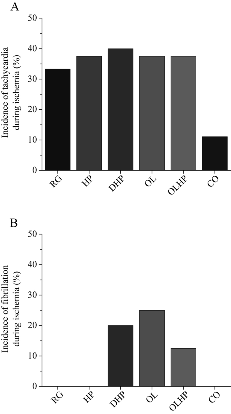 Figure 4)