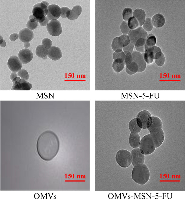 Figure 4