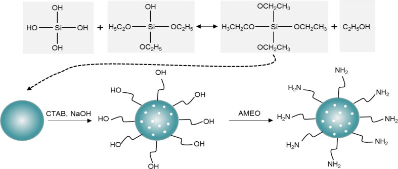 Figure 2