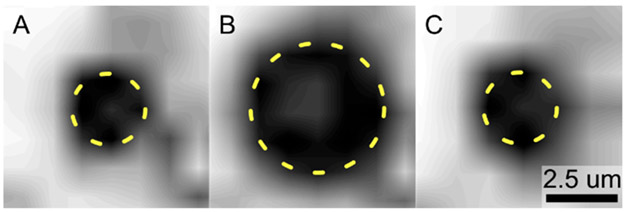 Figure 4.