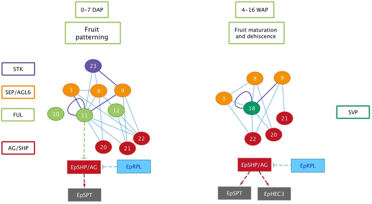 Figure 10