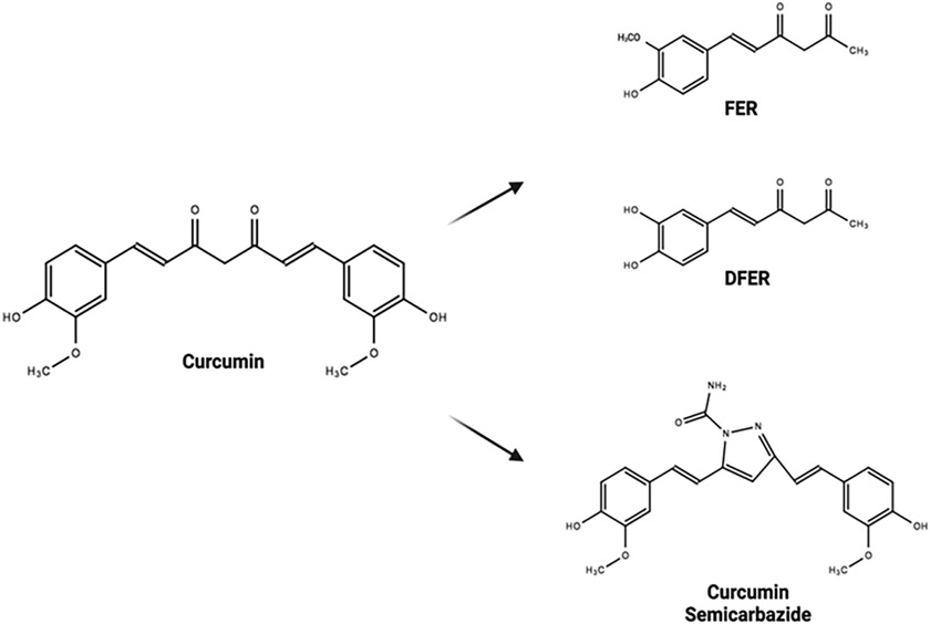 FIG. 2: