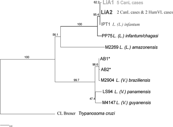 Figure 2.