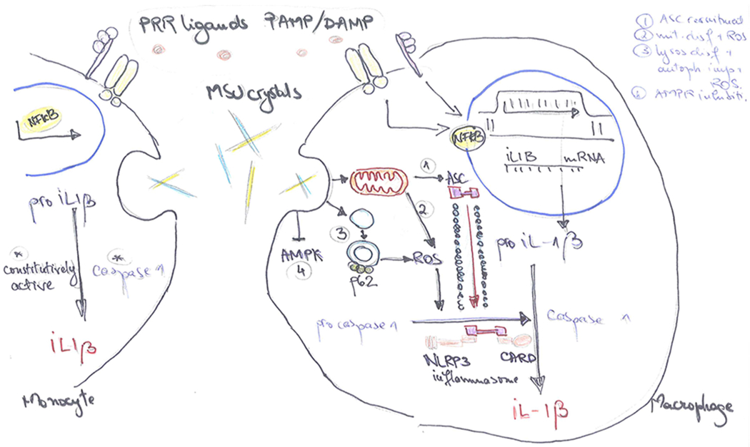 Figure 2.