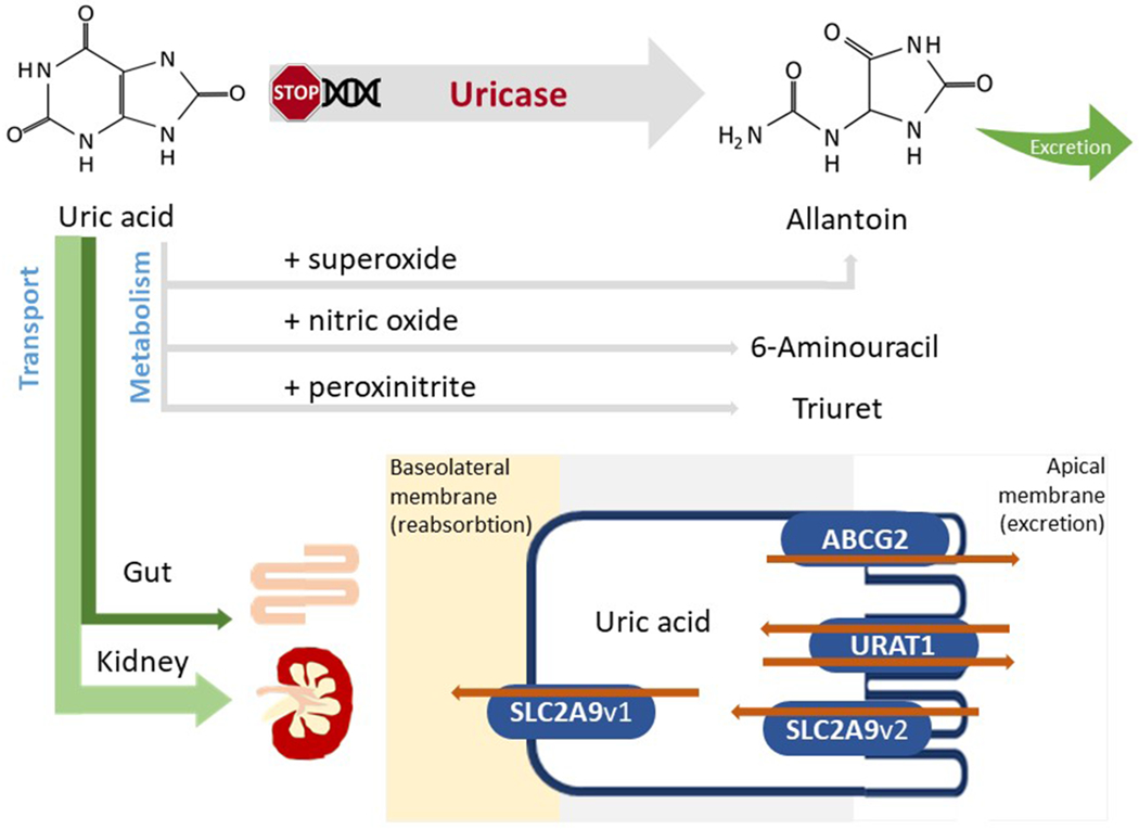 Figure 1.