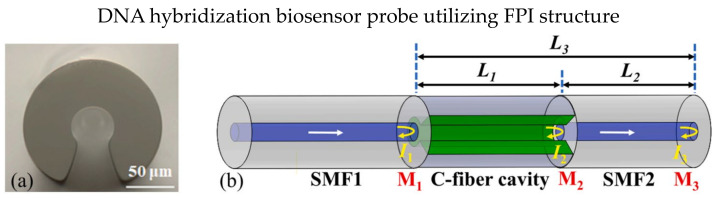 Figure 13